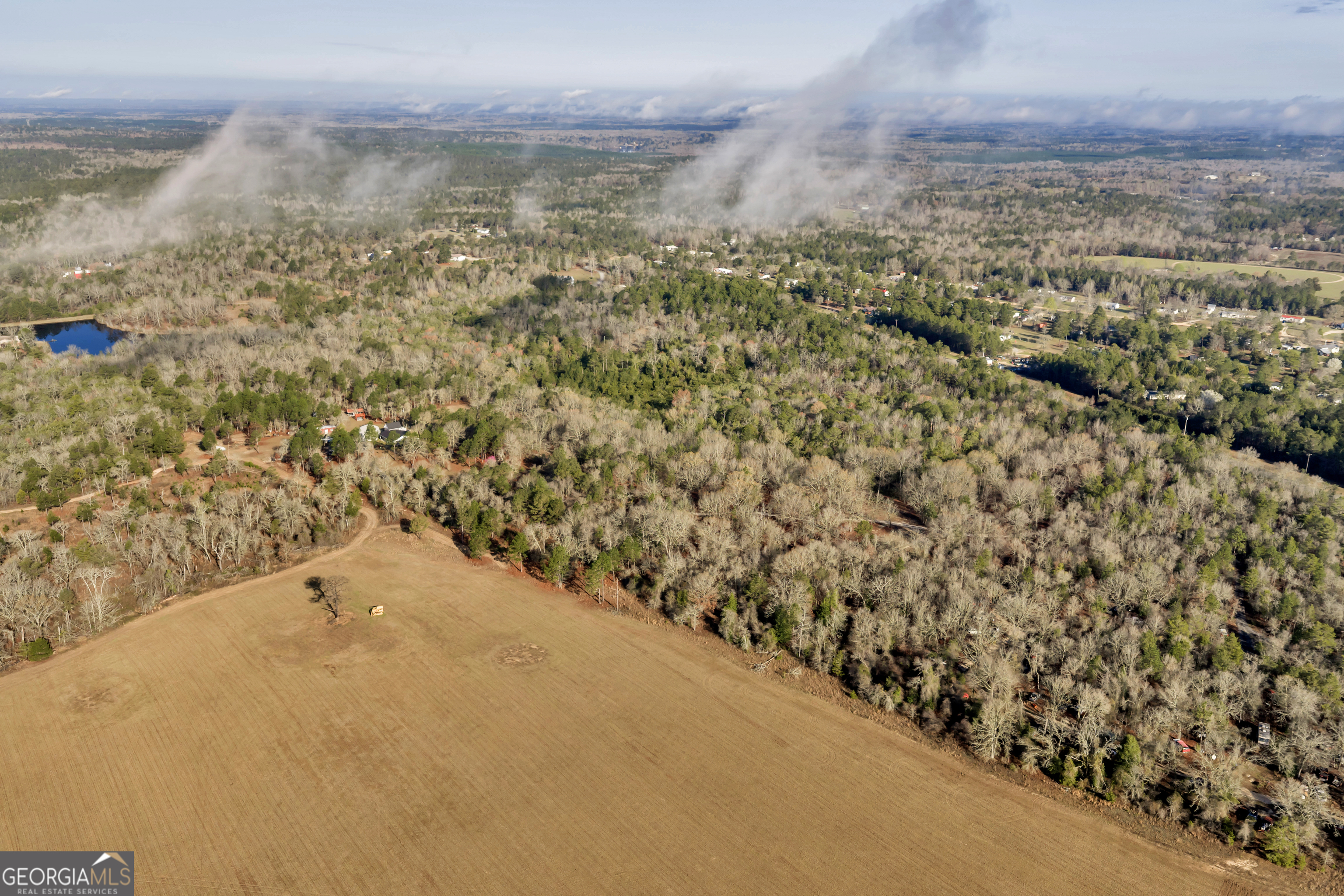 271 Dr Brooks Road Box Springs, GA 31801 - Photo 4 of 63