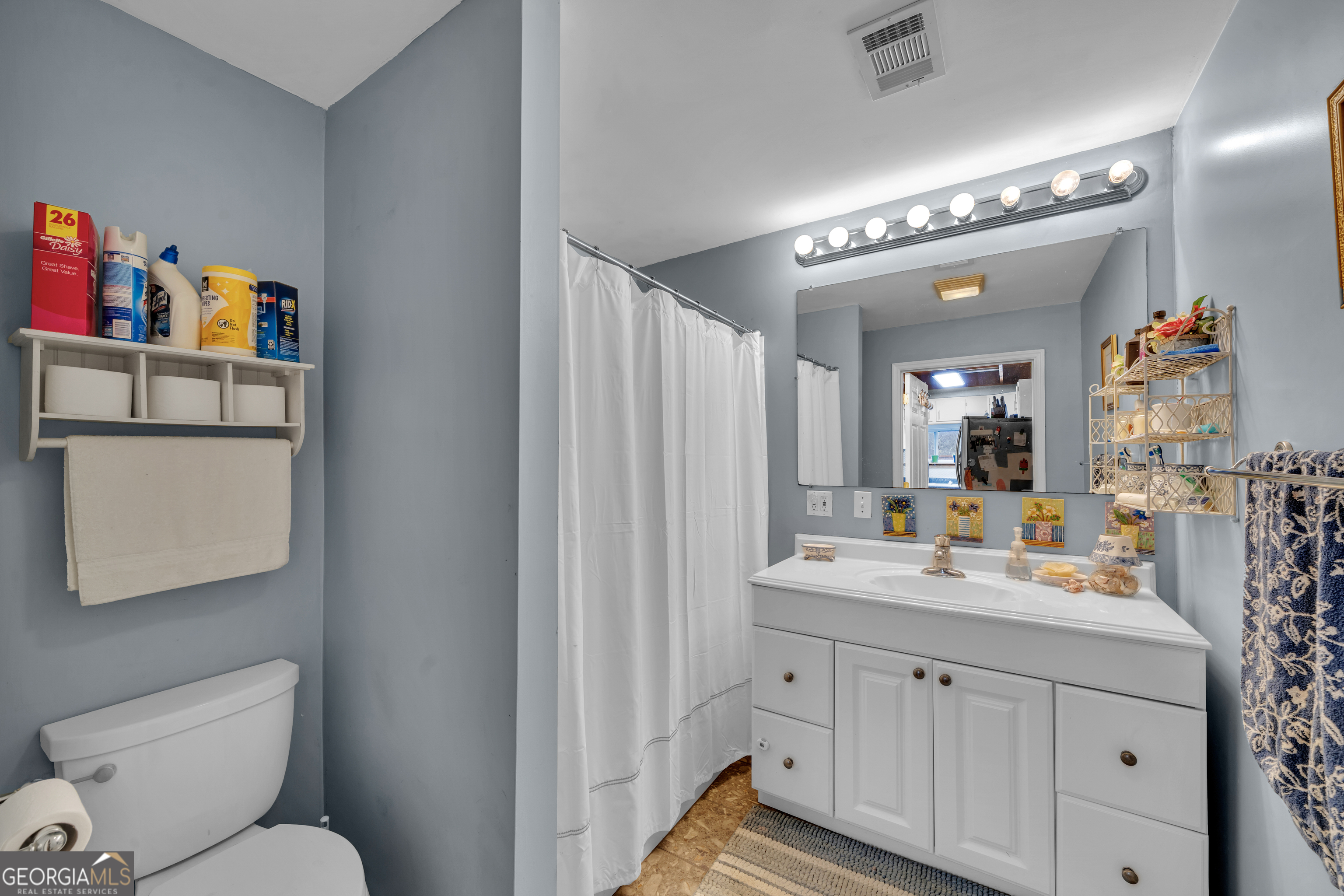271 Dr Brooks Road Box Springs, GA 31801 - Photo 46 of 63 a bathroom with a toilet sink and mirror