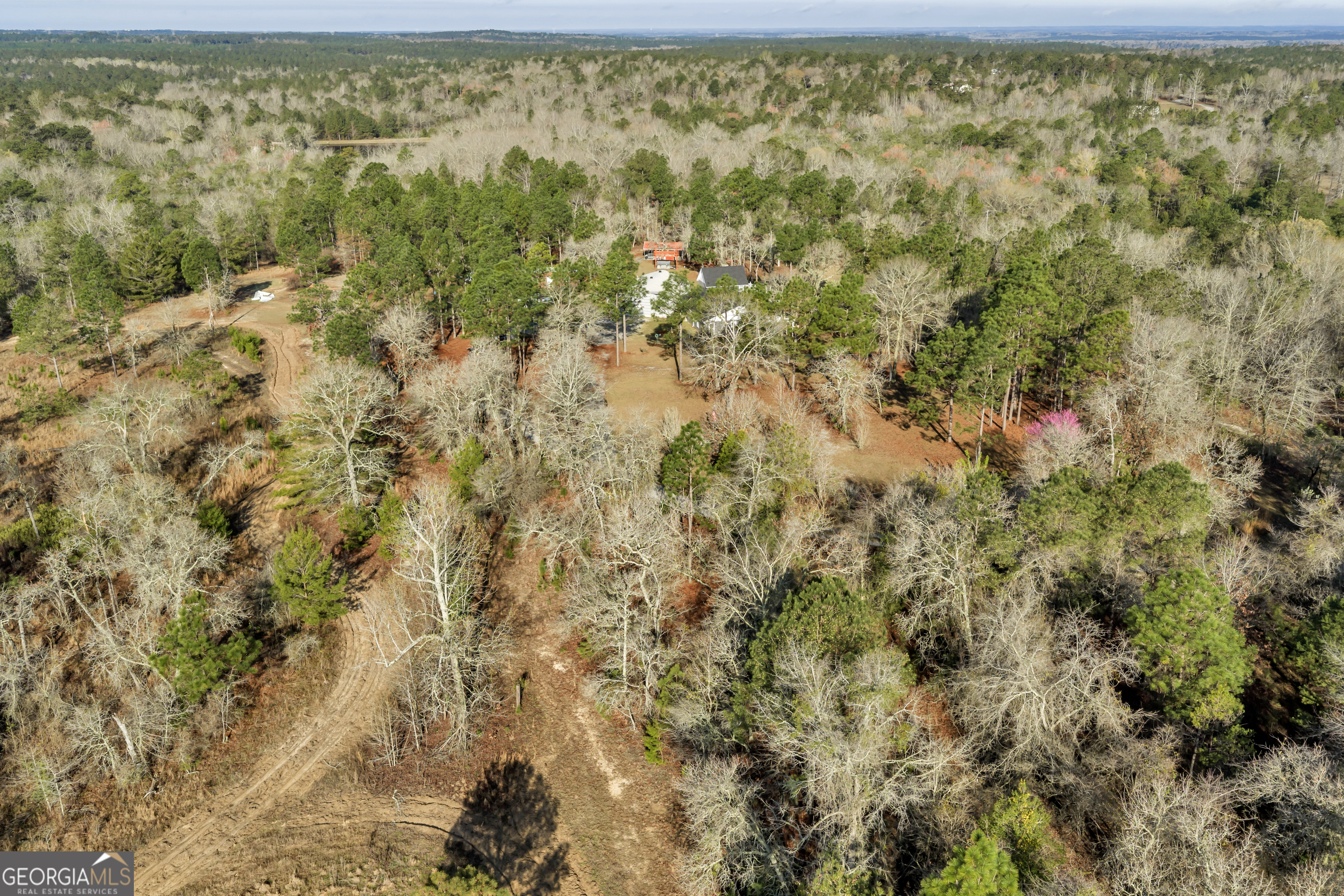 271 Dr Brooks Road Box Springs, GA 31801 - Photo 5 of 63 a view of a yard with a tree