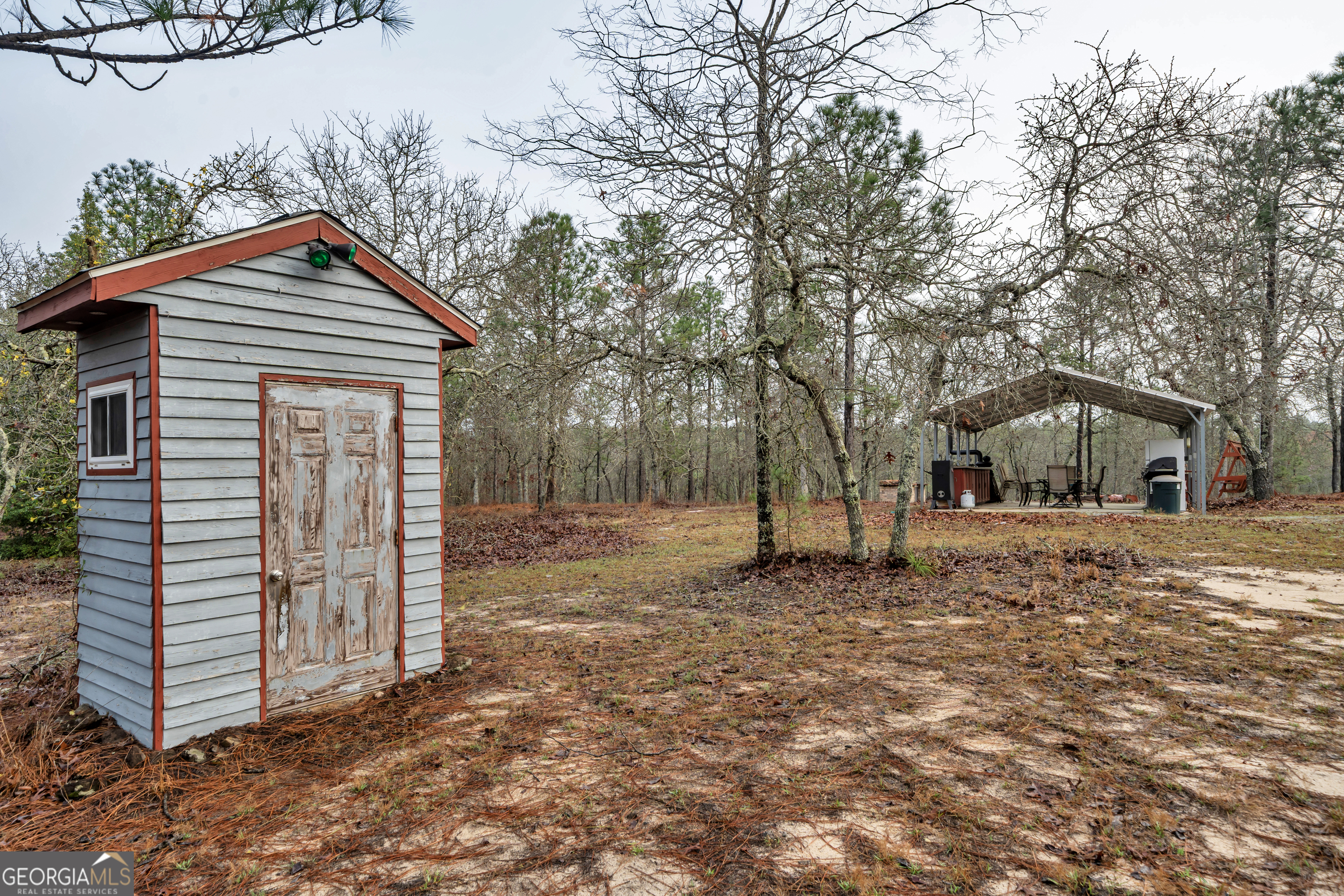 271 Dr Brooks Road Box Springs, GA 31801 - Photo 53 of 63