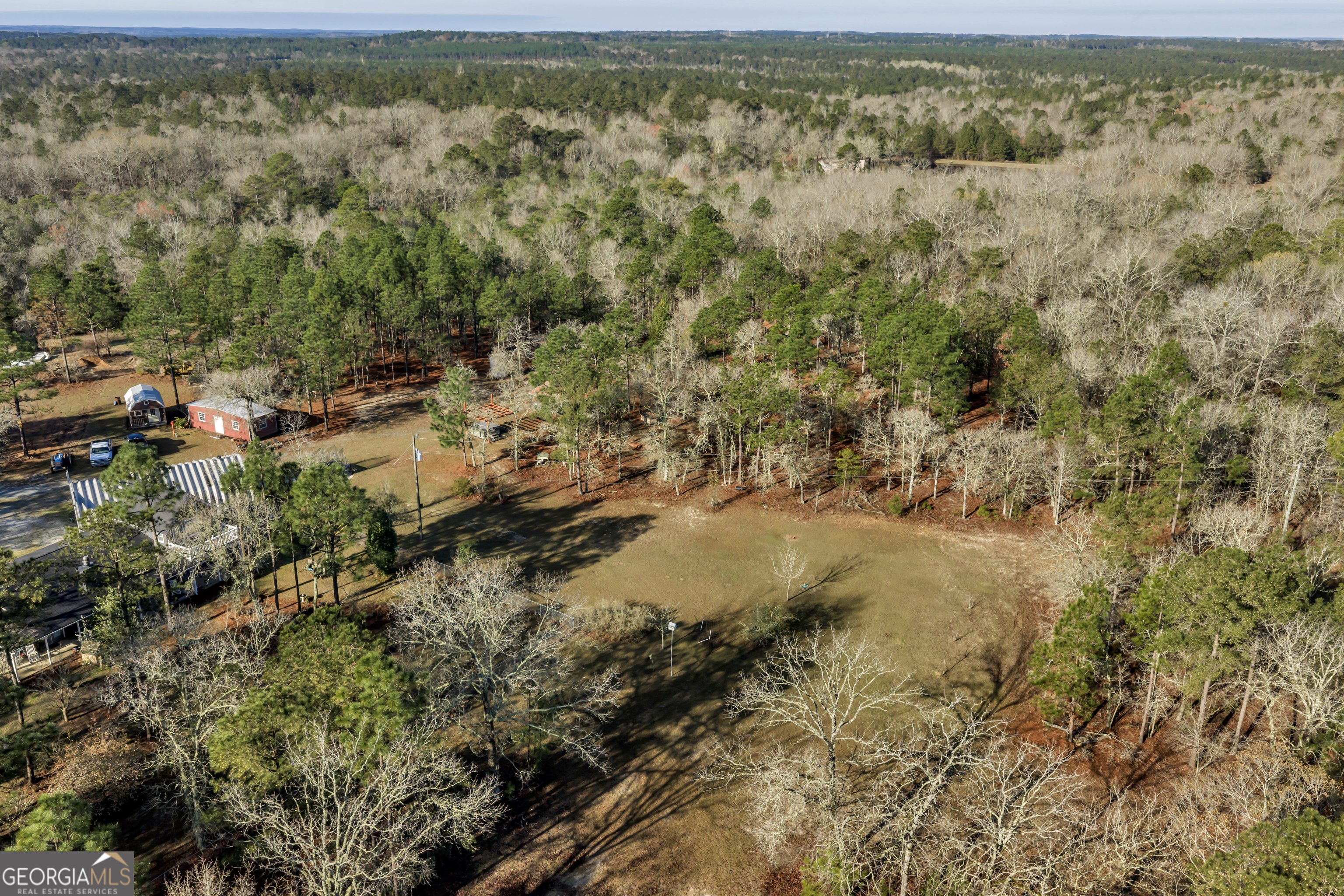 271 Dr Brooks Road Box Springs, GA 31801 - Photo 6 of 63