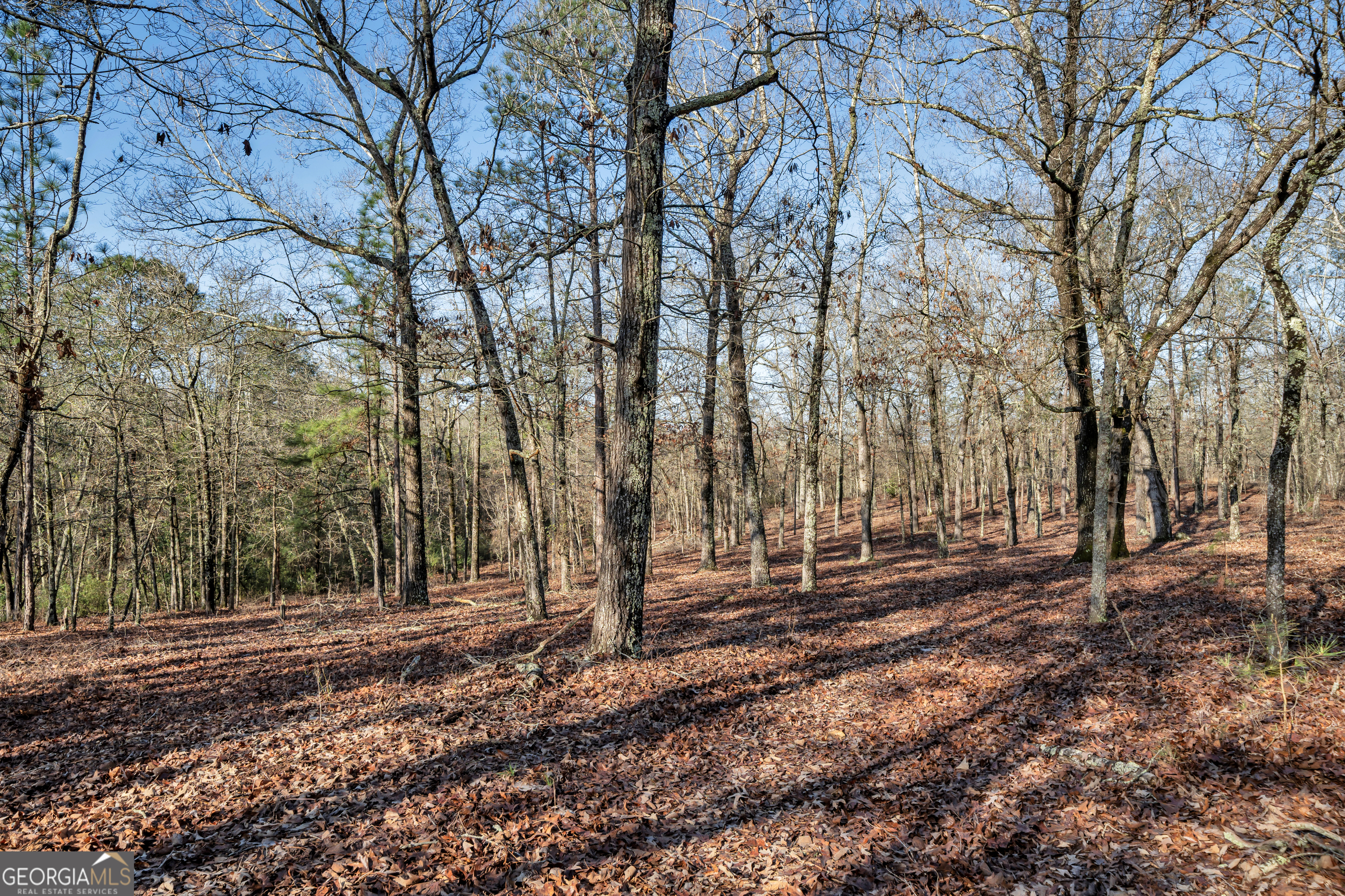271 Dr Brooks Road Box Springs, GA 31801 - Photo 62 of 63 a backyard of a house with lots of green space