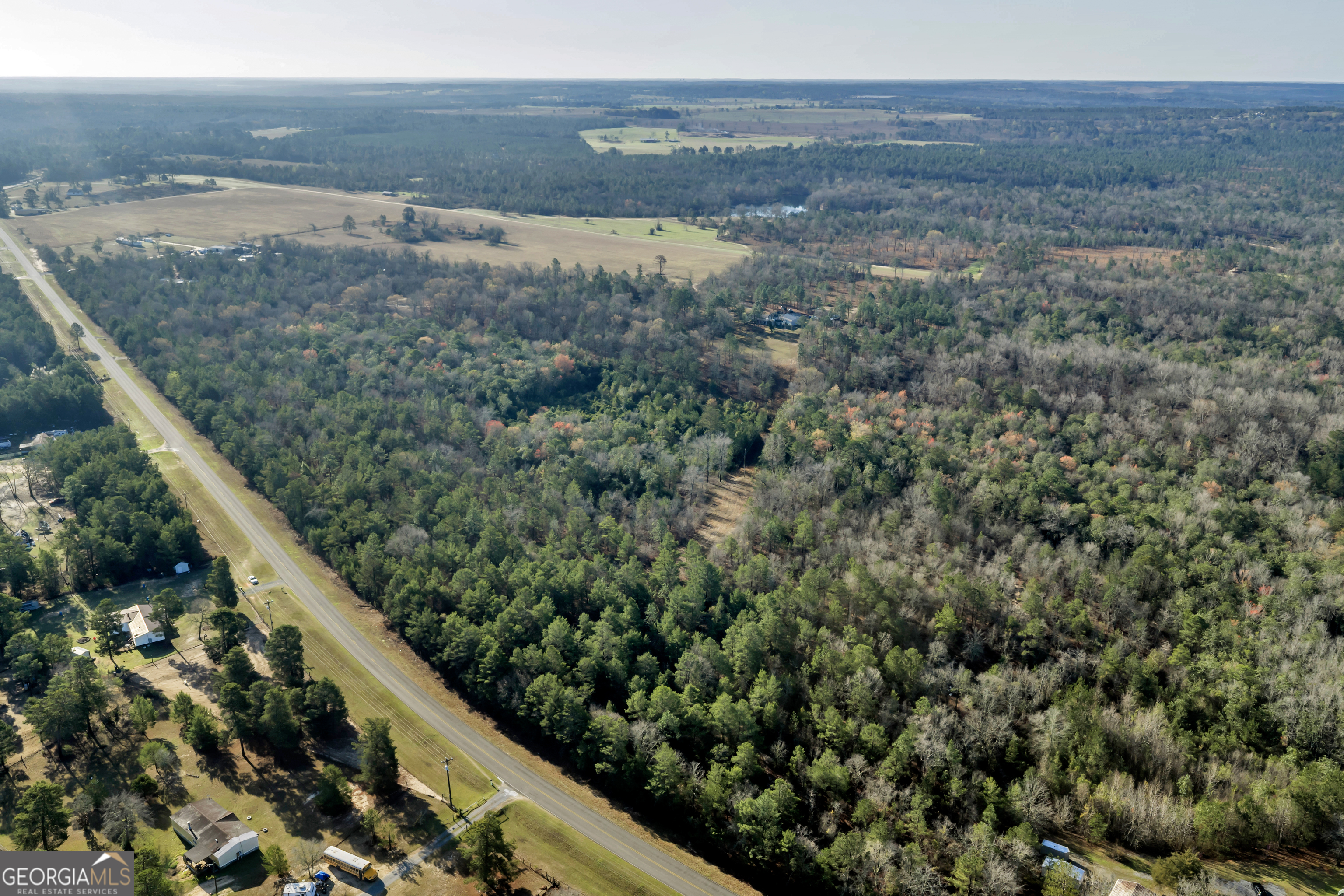 271 Dr Brooks Road Box Springs, GA 31801 - Photo 7 of 63 a view of mountain with lake view
