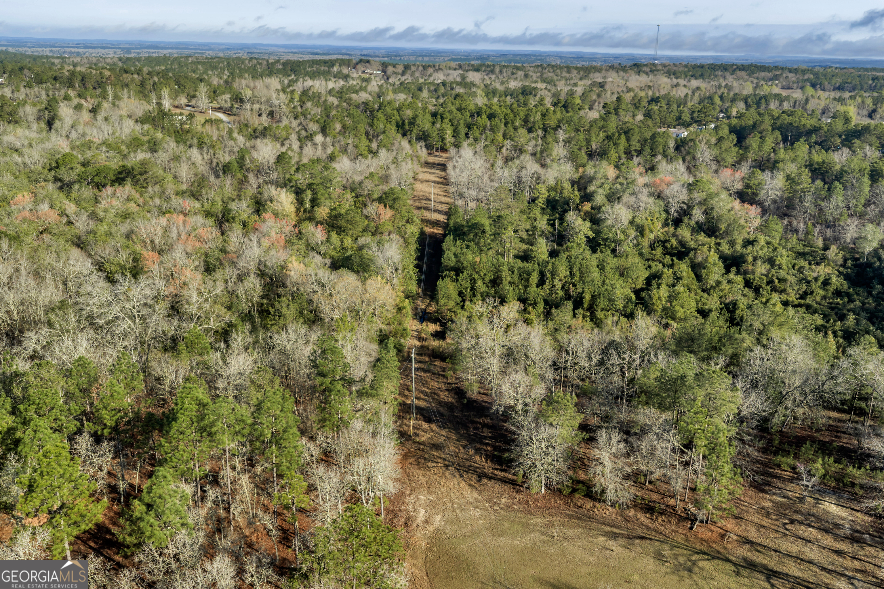 271 Dr Brooks Road Box Springs, GA 31801 - Photo 8 of 63 a view of a yard with an outdoor space