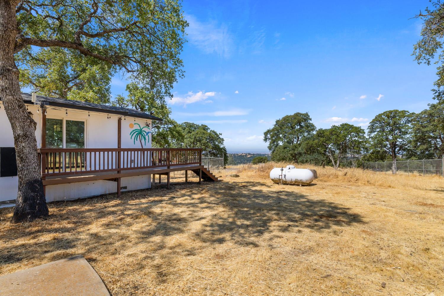 7145 Superior Town Road Lincoln, CA 95648 - Photo 36 of 94 a view of a backyard with a small cabin