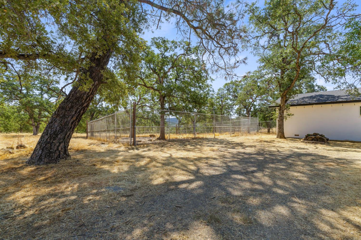 7145 Superior Town Road Lincoln, CA 95648 - Photo 37 of 94 a view of a yard with a tree