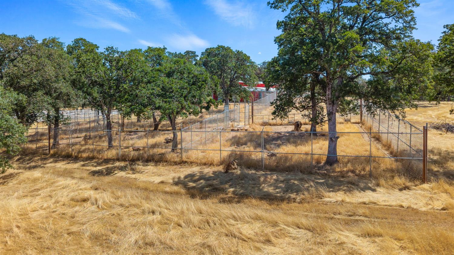 7145 Superior Town Road Lincoln, CA 95648 - Photo 89 of 94 a view of yard with trees