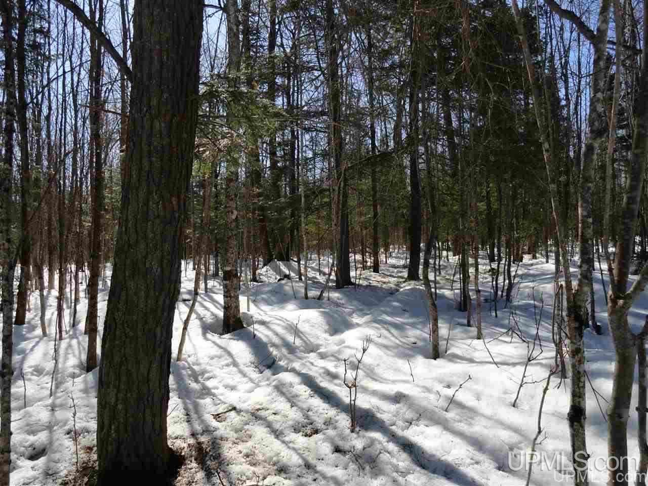 240-acres Leek Road Covington, MI 49919 - Photo 22 of 50