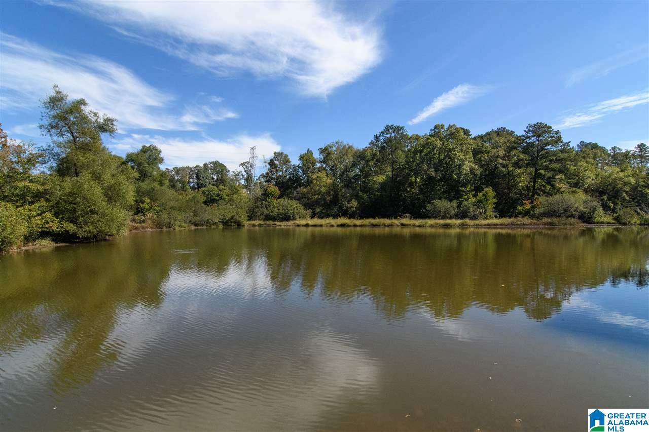 2820 Falliston Lane Birmingham, AL 35244 - Photo 41 of 50