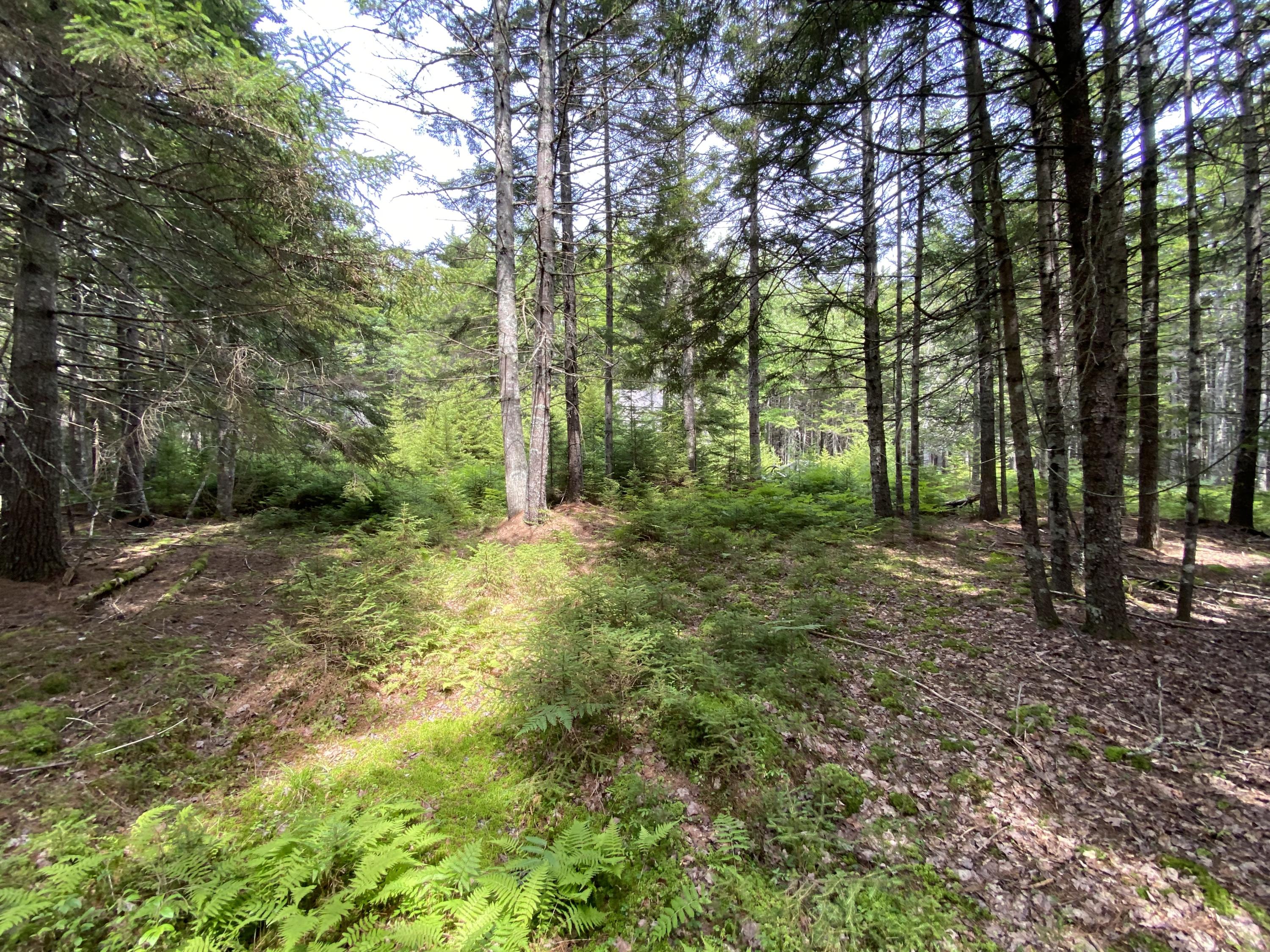 30-14a Meadow Pond Road Islesboro, ME 04848 - Photo 6 of 13 ROW