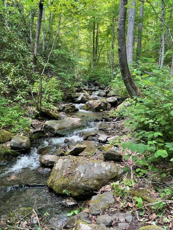 a view of a garden with large trees