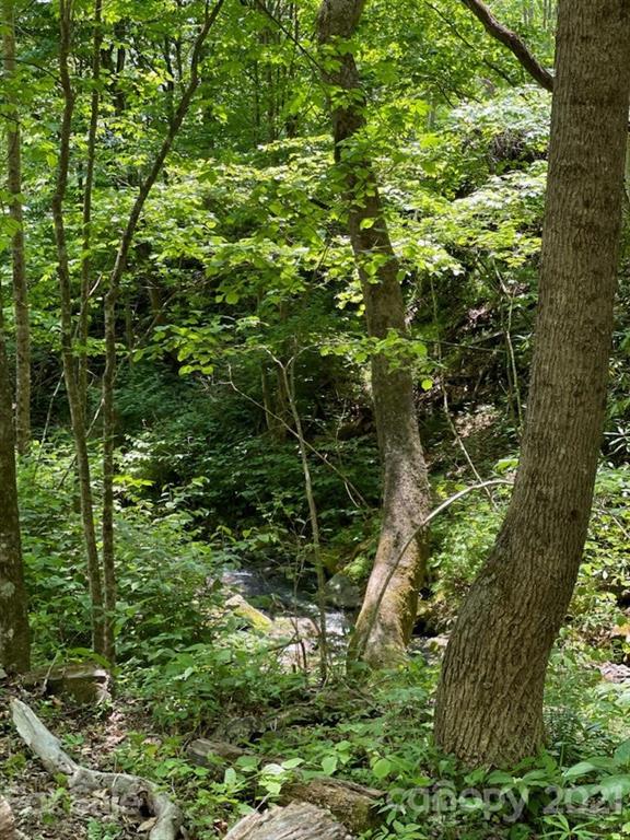 0 Spring Creek Road Bakersville, NC 28705 - Photo 14 of 18 a view of a garden