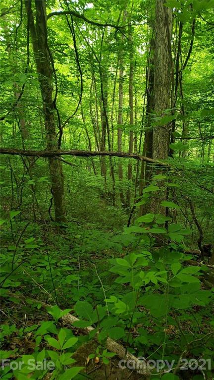 0 Spring Creek Road Bakersville, NC 28705 - Photo 16 of 18 a view of garden from a lake