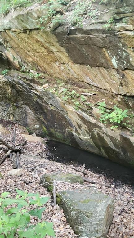 0 Spring Creek Road Bakersville, NC 28705 - Photo 17 of 18