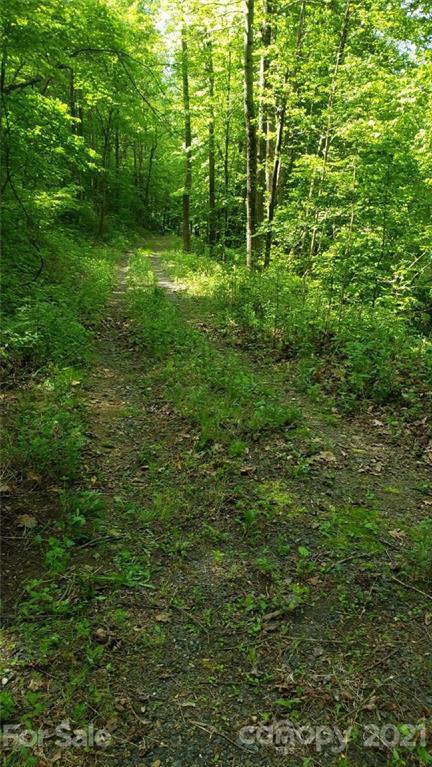0 Spring Creek Road Bakersville, NC 28705 - Photo 7 of 18 a view of outdoor space and green space