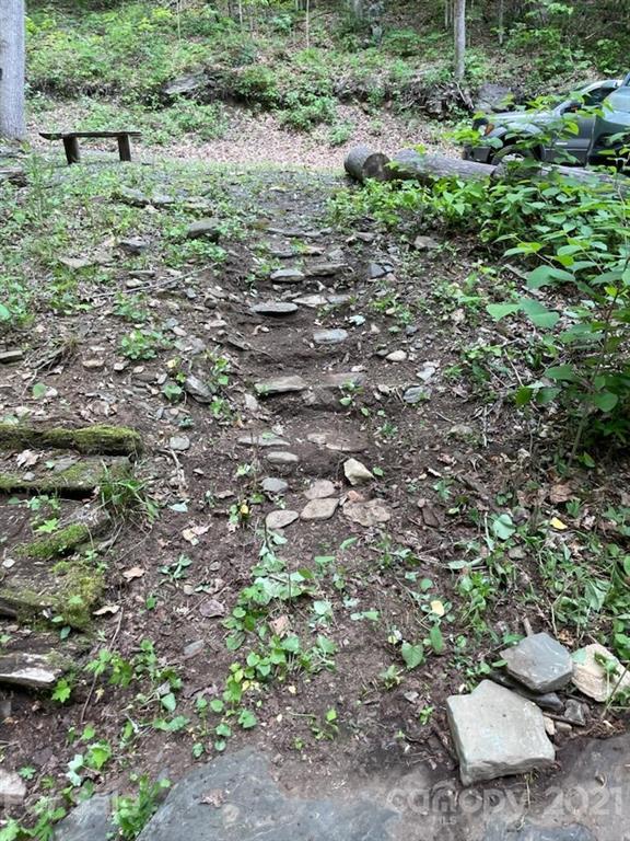 0 Spring Creek Road Bakersville, NC 28705 - Photo 8 of 18 a view of a lush green yard