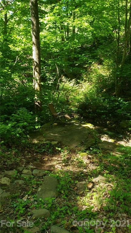 0 Spring Creek Road Bakersville, NC 28705 - Photo 9 of 18 a backyard of a house with lots of green space