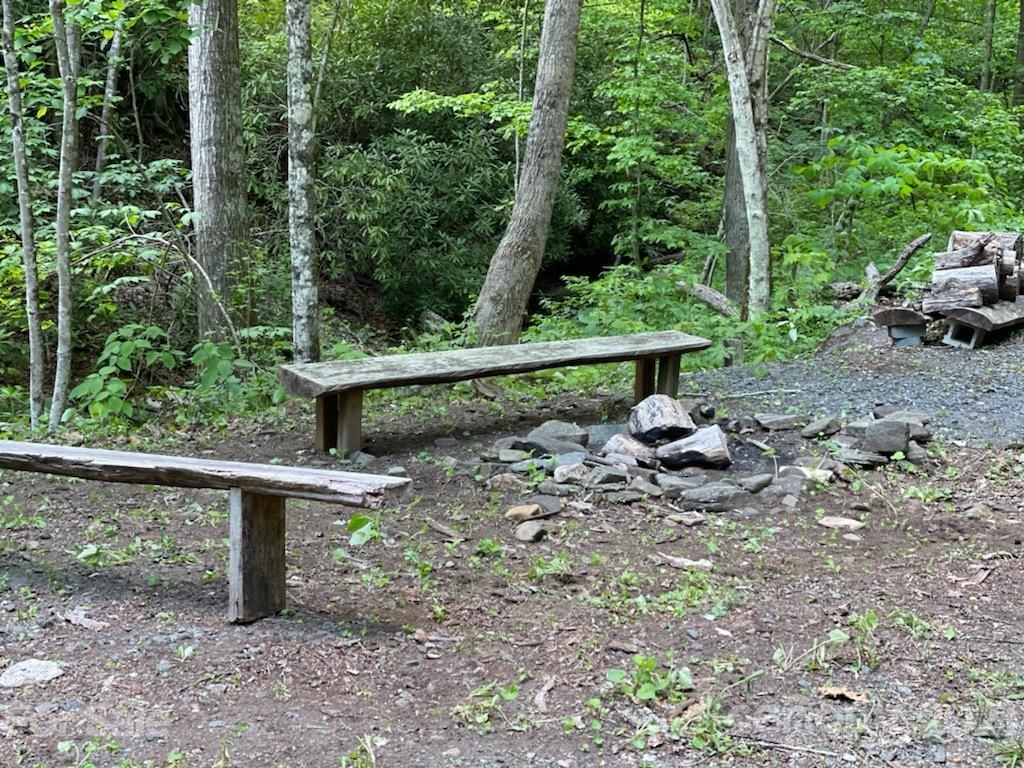 0 Spring Creek Road Bakersville, NC 28705 - Photo 10 of 18 a view of a bench in a garden