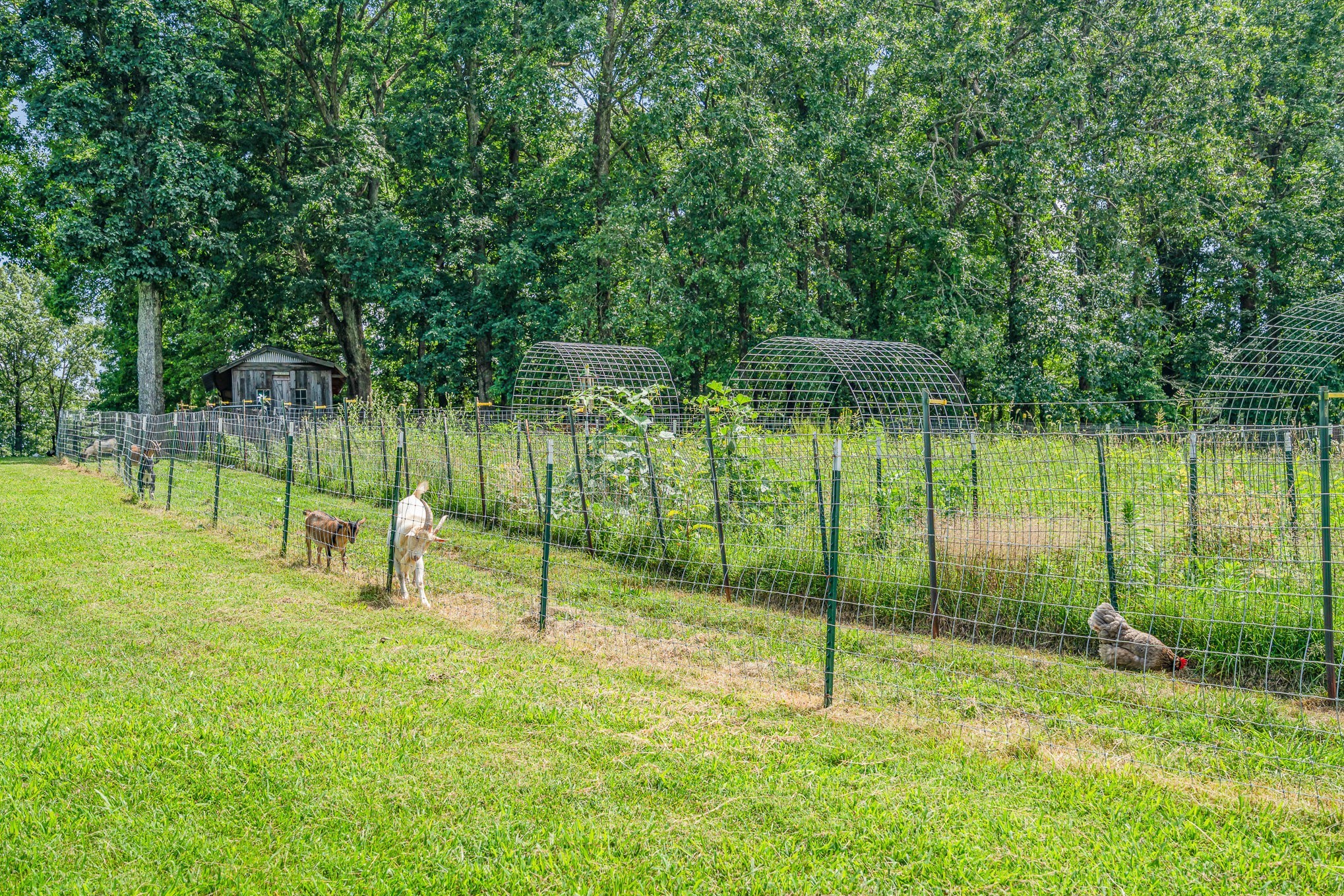 1640 Eno Road Dickson, TN 37055 - Photo 53 of 64 a view of a park with a bench