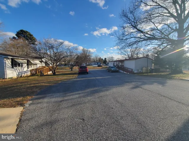 a view of road with large trees