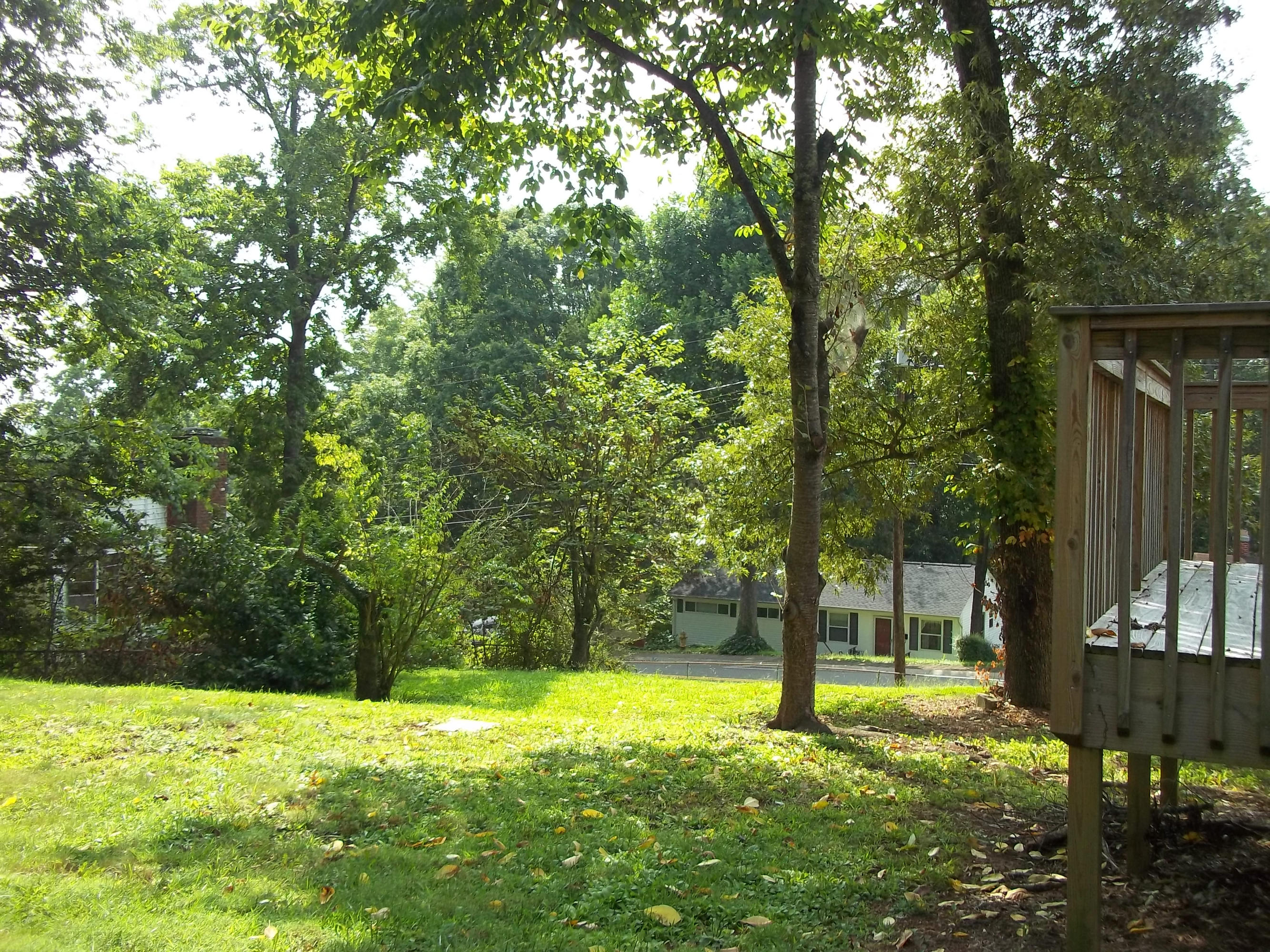 100 Andover Circle Oak Ridge, TN 37830 - Photo 29 of 30 side yard