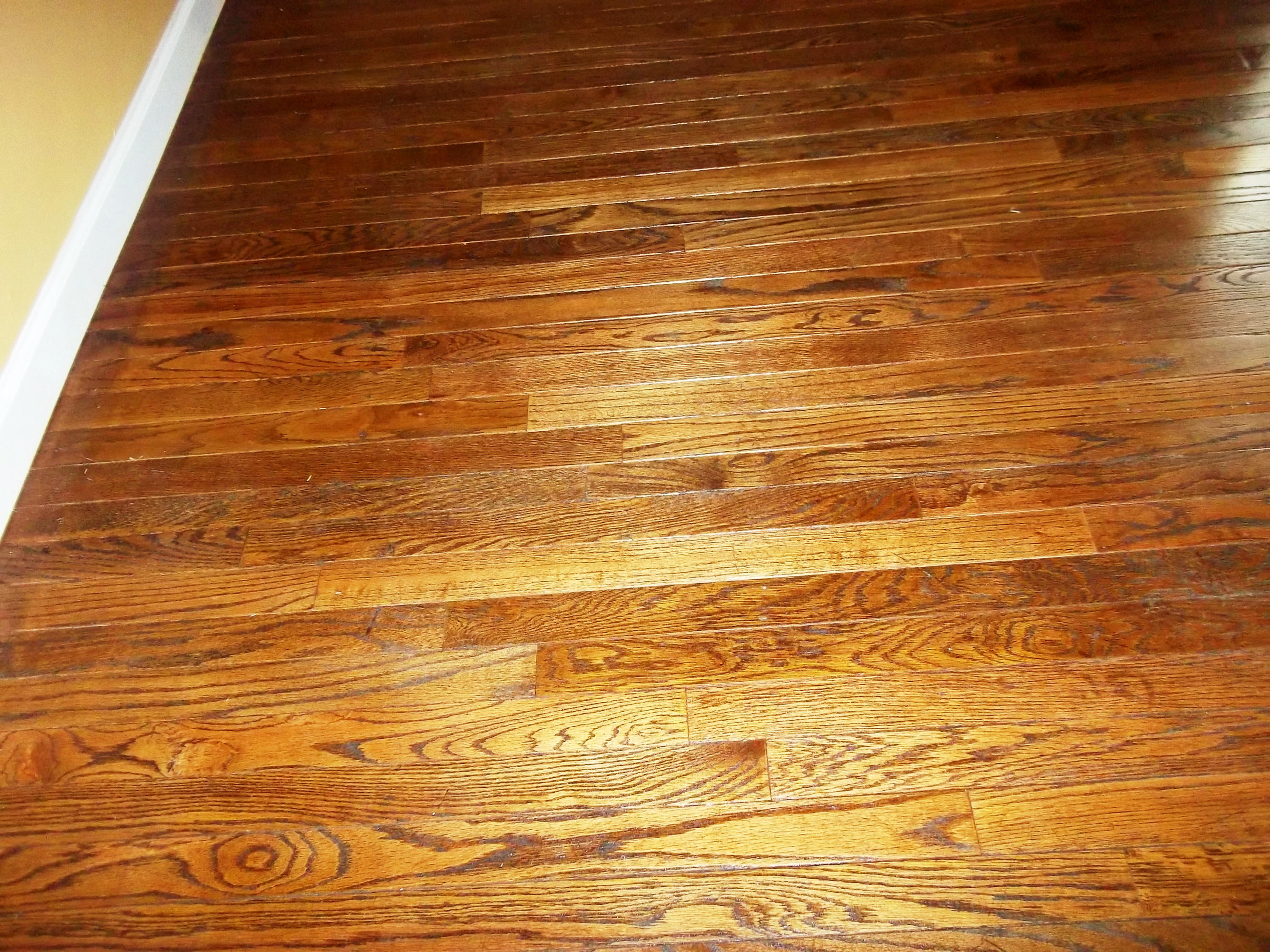 100 Andover Circle Oak Ridge, TN 37830 - Photo 9 of 30 Stunning Hardwoods