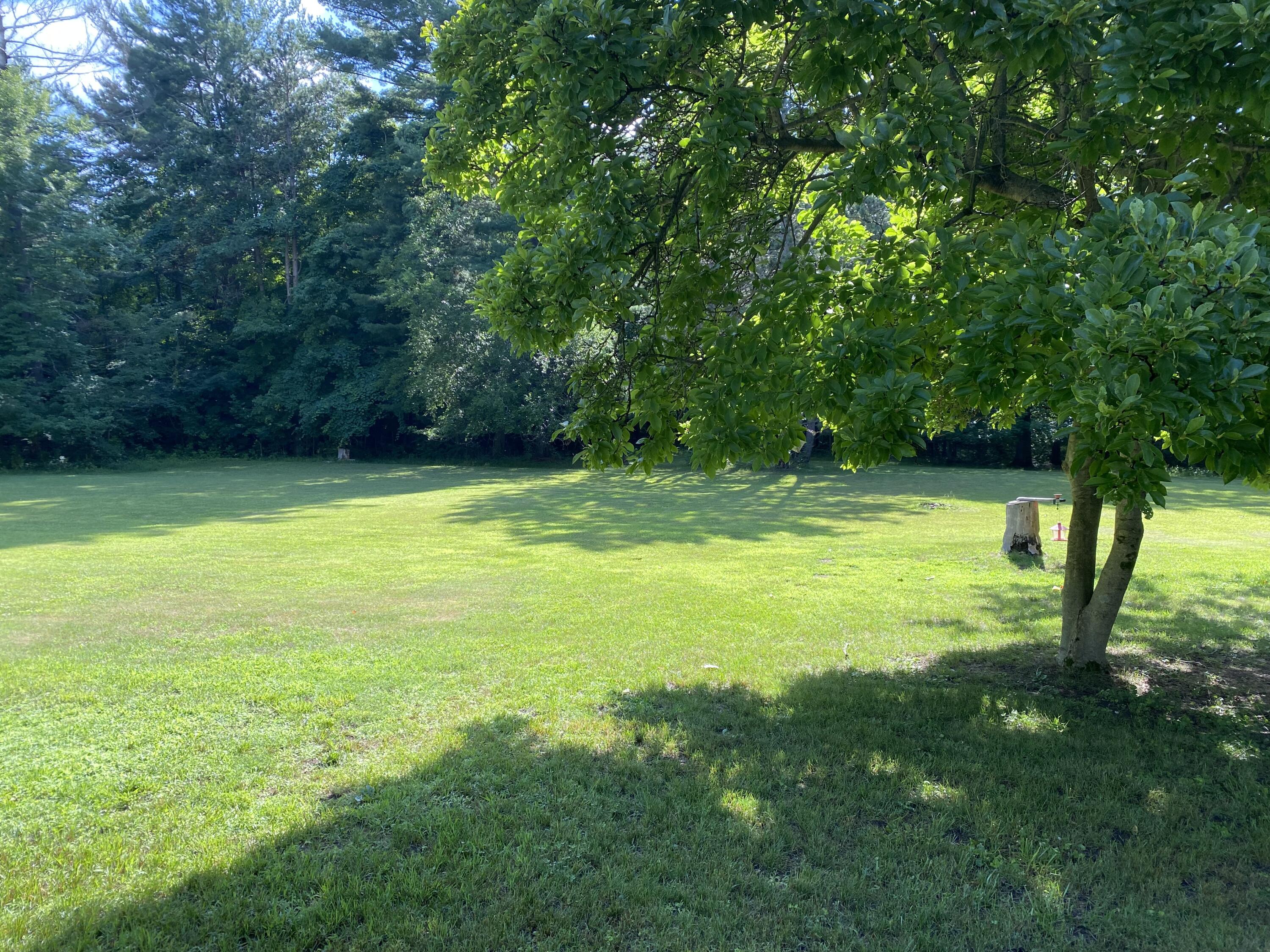4544 North County Line Road Watervliet, MI 49098 - Photo 4 of 45 IMG_3535