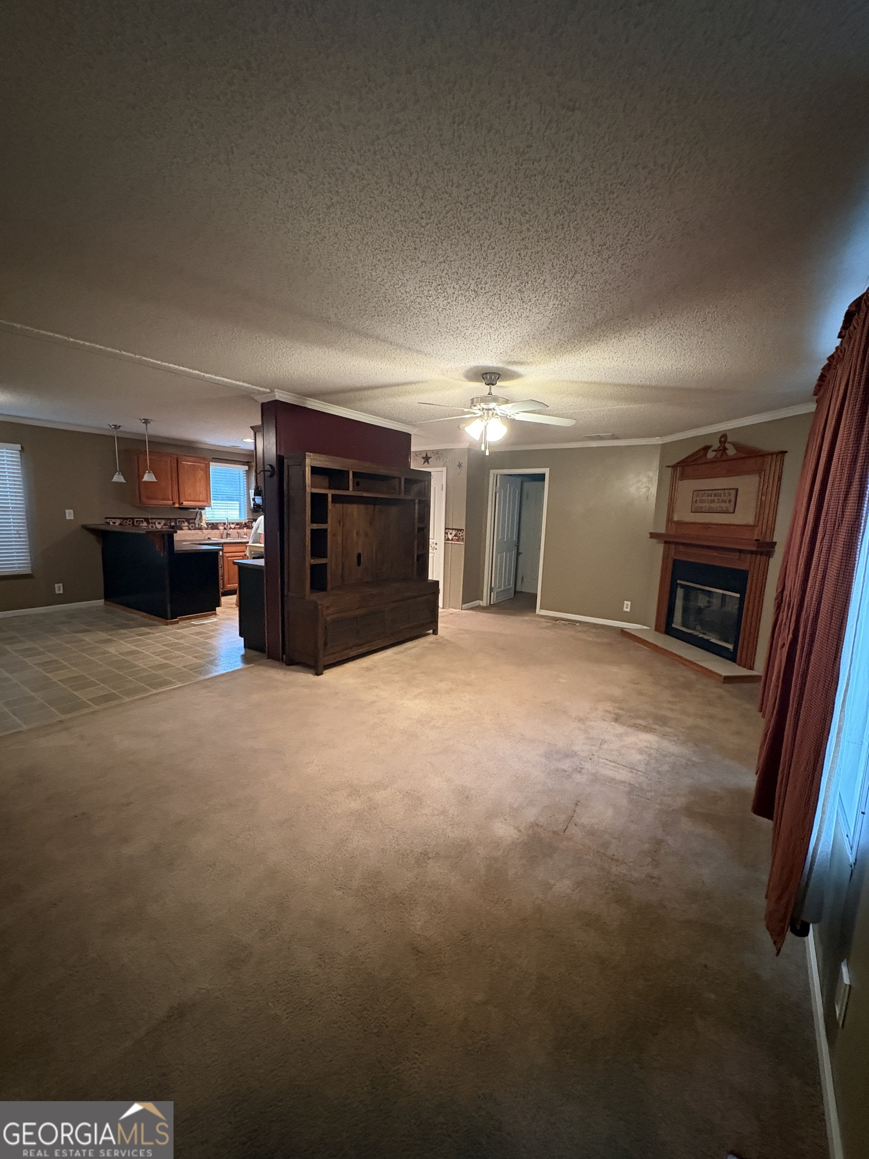 2648 Orphans Cemetery Road Eastman, GA 31023 - Photo 13 of 34