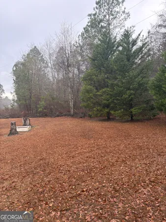 $210,000 | 2648 Orphans Cemetery Road, Eastman, GA 31023