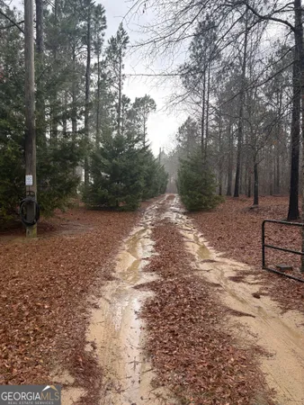 $210,000 | 2648 Orphans Cemetery Road, Eastman, GA 31023