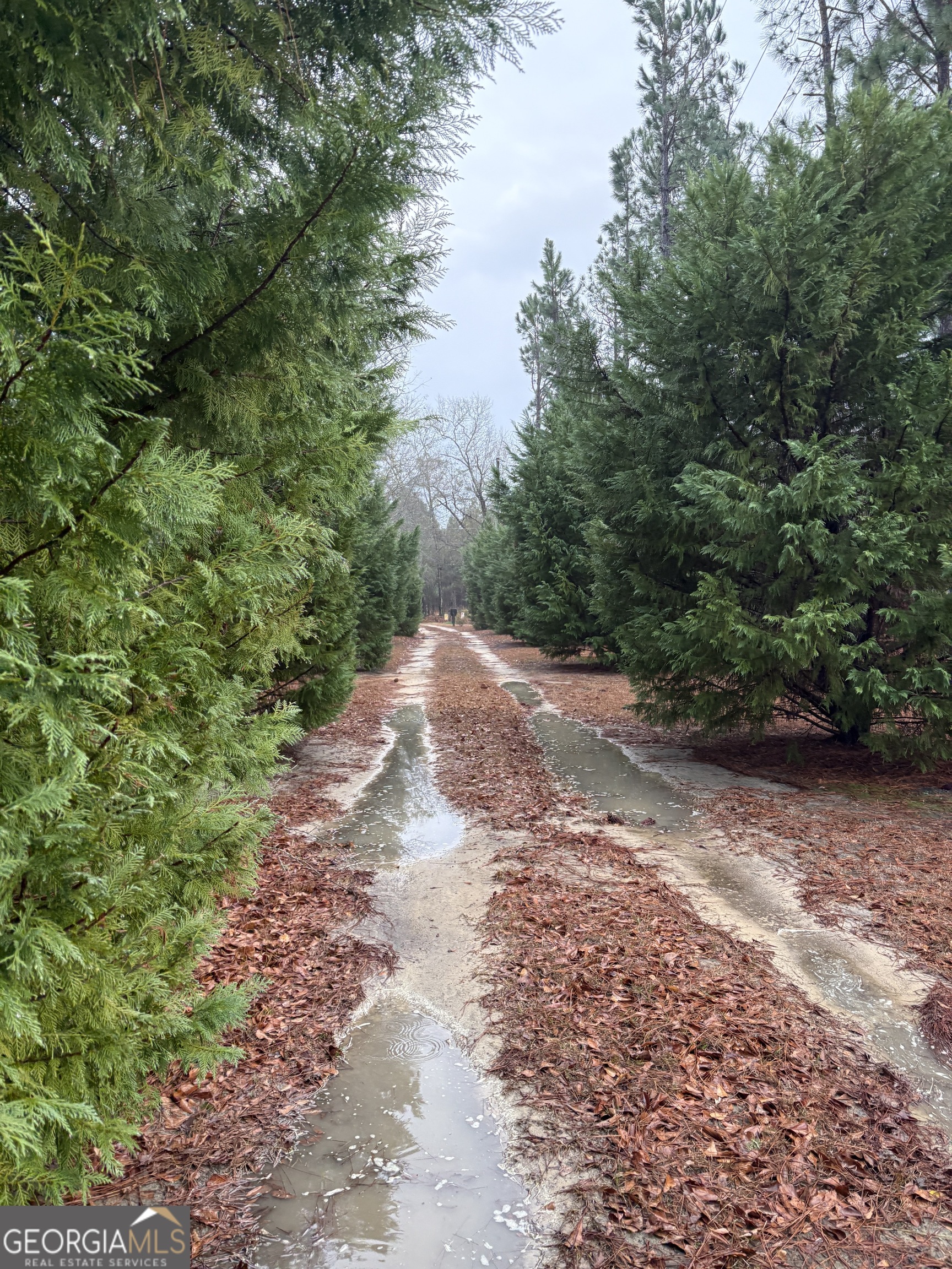 2648 Orphans Cemetery Road Eastman, GA 31023 - Photo 33 of 34