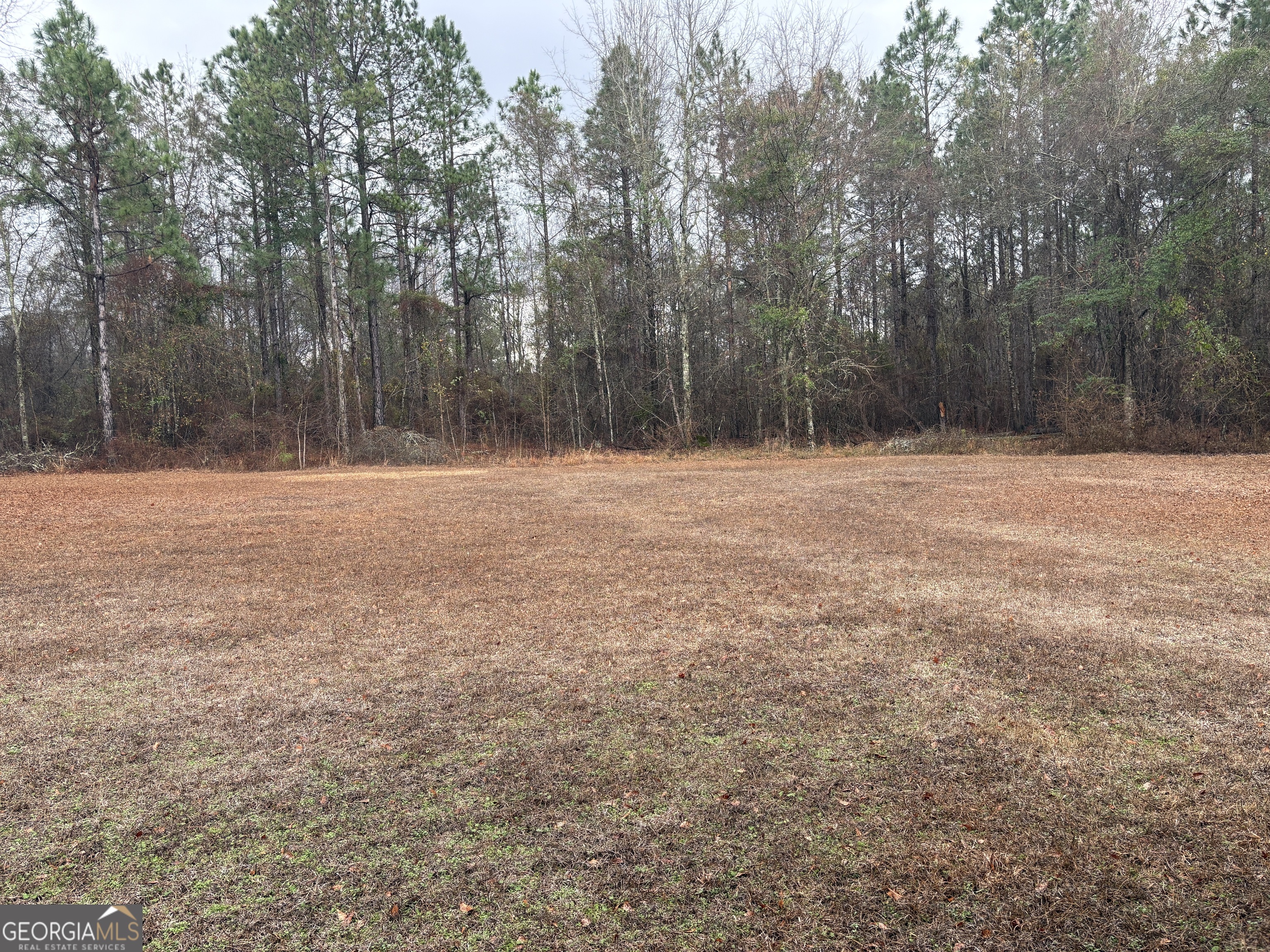 2648 Orphans Cemetery Road Eastman, GA 31023 - Photo 4 of 34