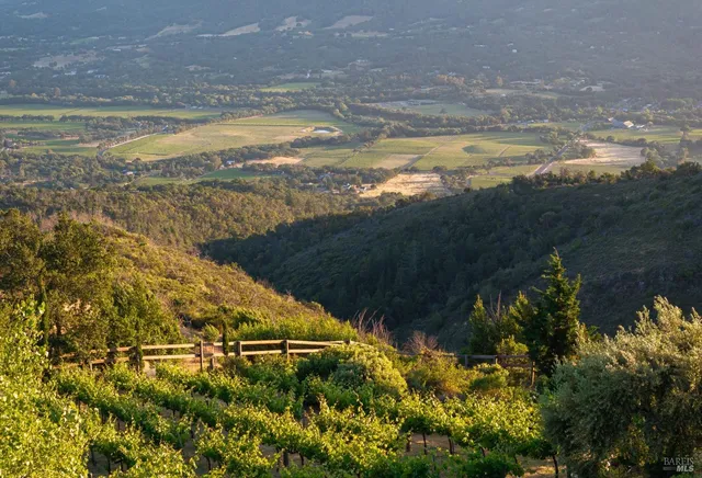 a view of an ocean and beach