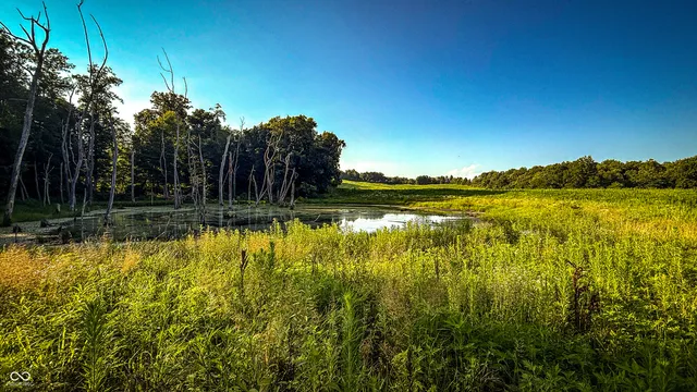 $2,649,000 | 2297 West Popcorn Road, Springville, IN 47462