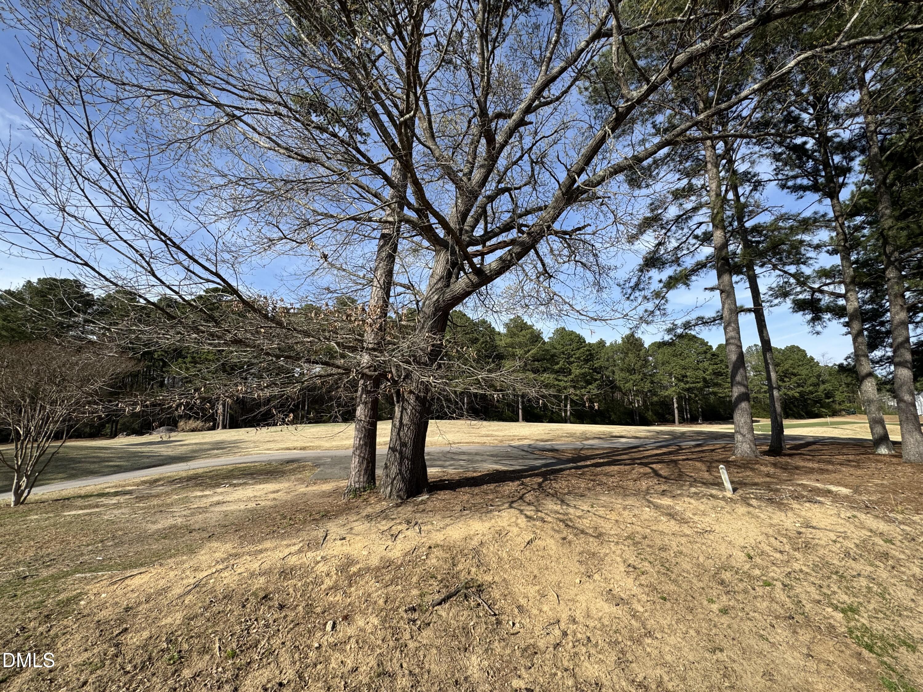 2212 Persimmon Ridge Drive Raleigh, NC 27604 - Photo 13 of 18 5th hole