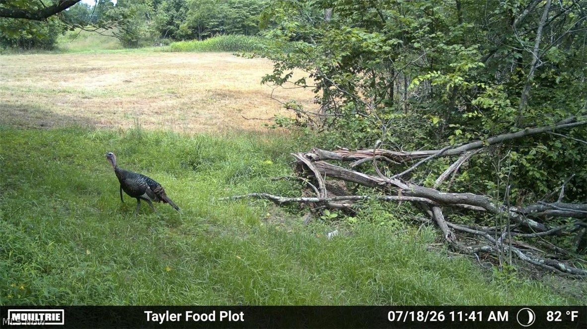 Taylor Road Dennison, OH 44621 - Photo 39 of 48 Gallery Image 39