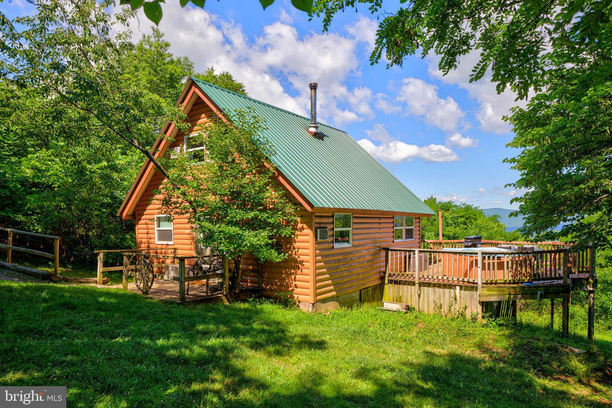 707 Overlook Drive Rileyville, VA 22650 - Photo 3 of 94