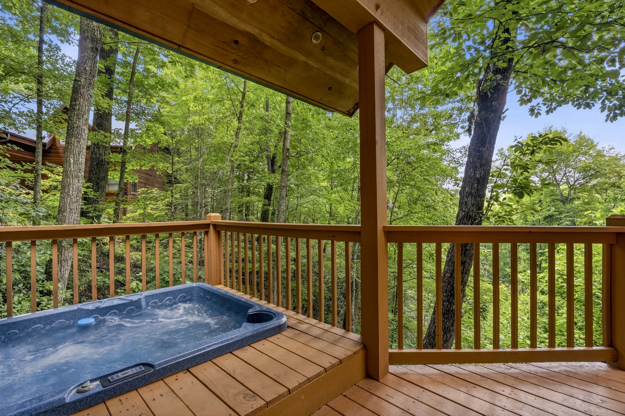 820 Pinnacle Vista Road Gatlinburg, TN 37738 - Photo 17 of 31