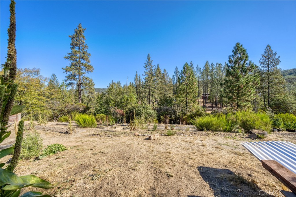 8255 High Valley Road Cobb, CA 95426 - Photo 34 of 49 Gallery Image 34