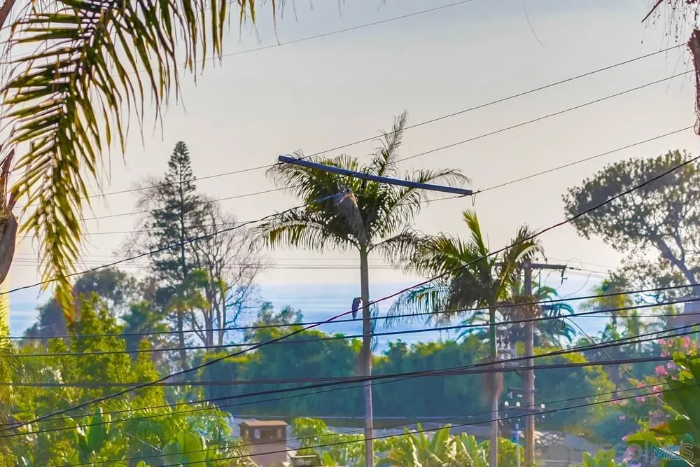 545 Ocean View Avenue Encinitas, CA 92024 - Photo 44 of 75