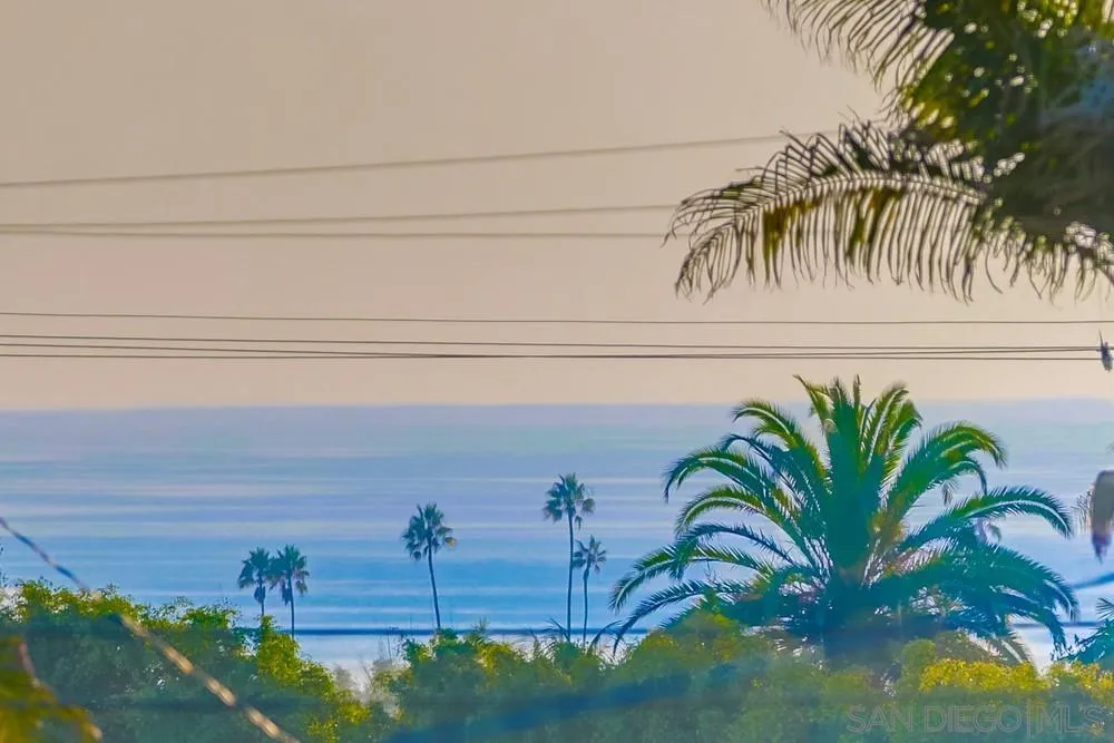 545 Ocean View Avenue Encinitas, CA 92024 - Photo 45 of 75 a view of a yard with palm trees