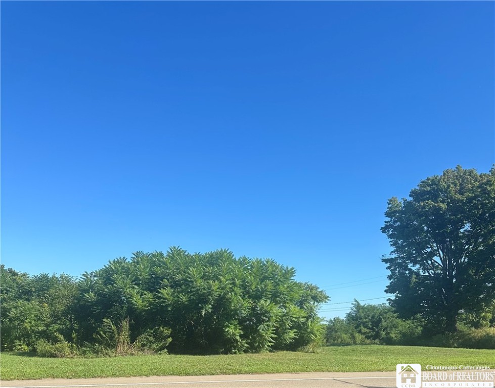 137 West Main Street Ripley, NY 14775 - Photo 1 of 3