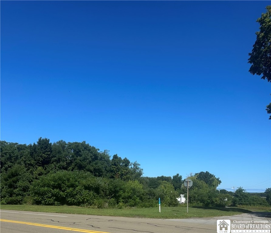 137 West Main Street Ripley, NY 14775 - Photo 2 of 3