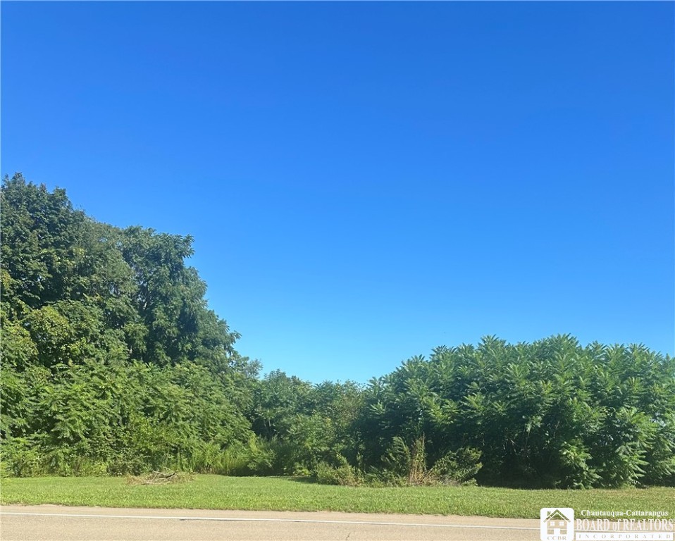 137 West Main Street Ripley, NY 14775 - Photo 3 of 3