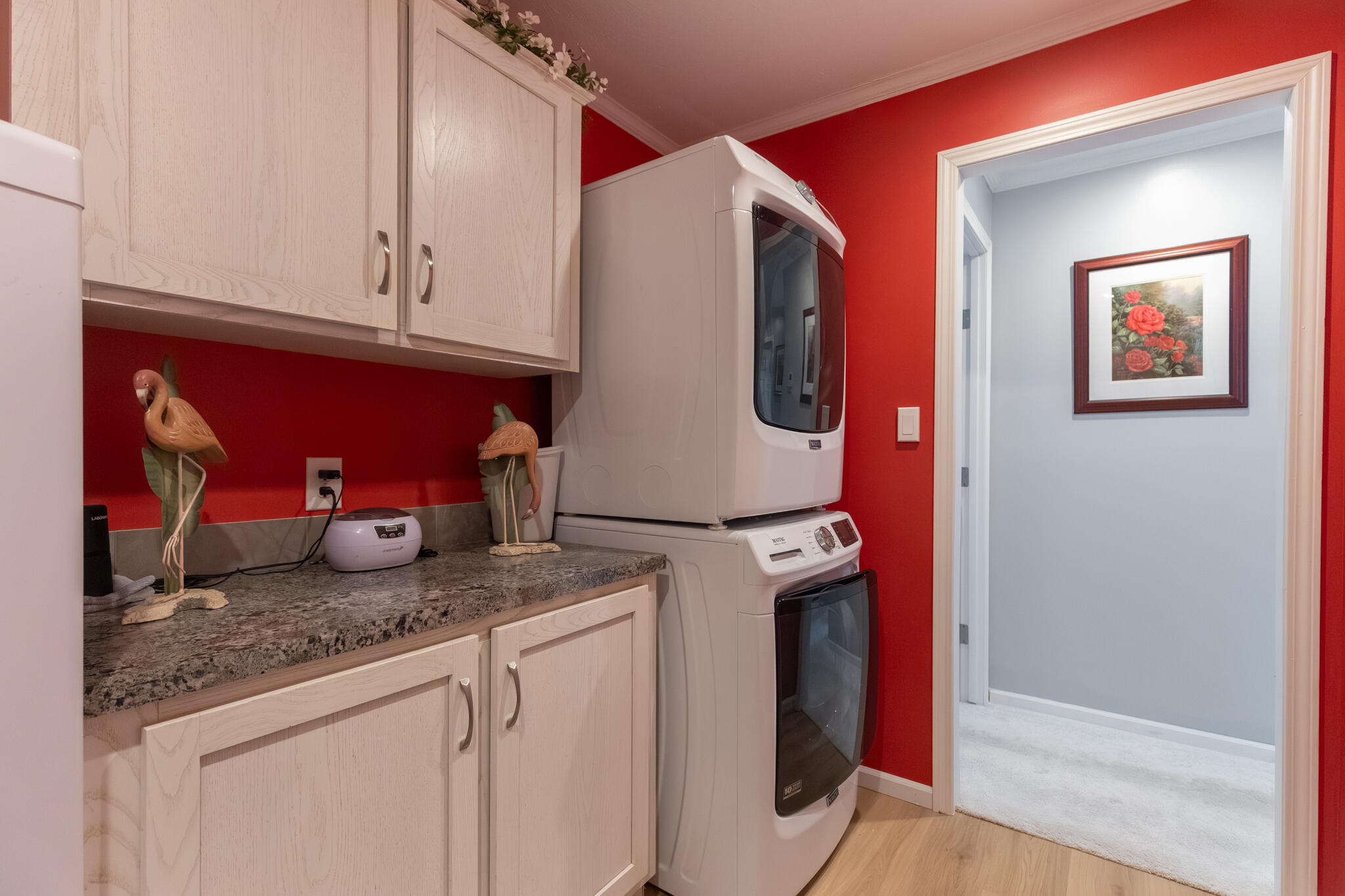 248 Maple Run Mason, MI 48854 - Photo 10 of 21 248_Maple_Run_BROCK-9