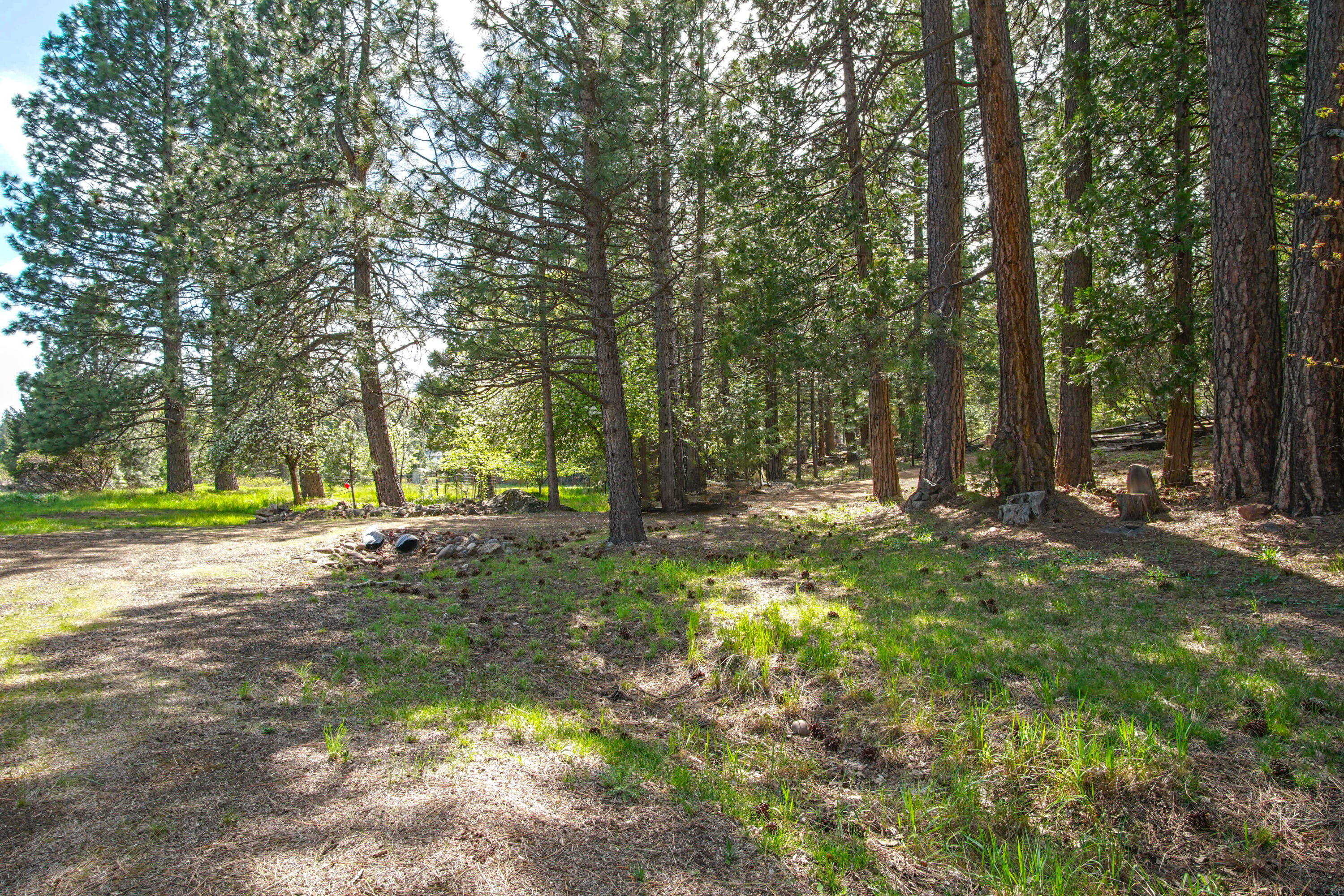 7763 Long Hay Flat Road Shingletown, CA 96088 - Photo 7 of 21 Bailey Creek Property View