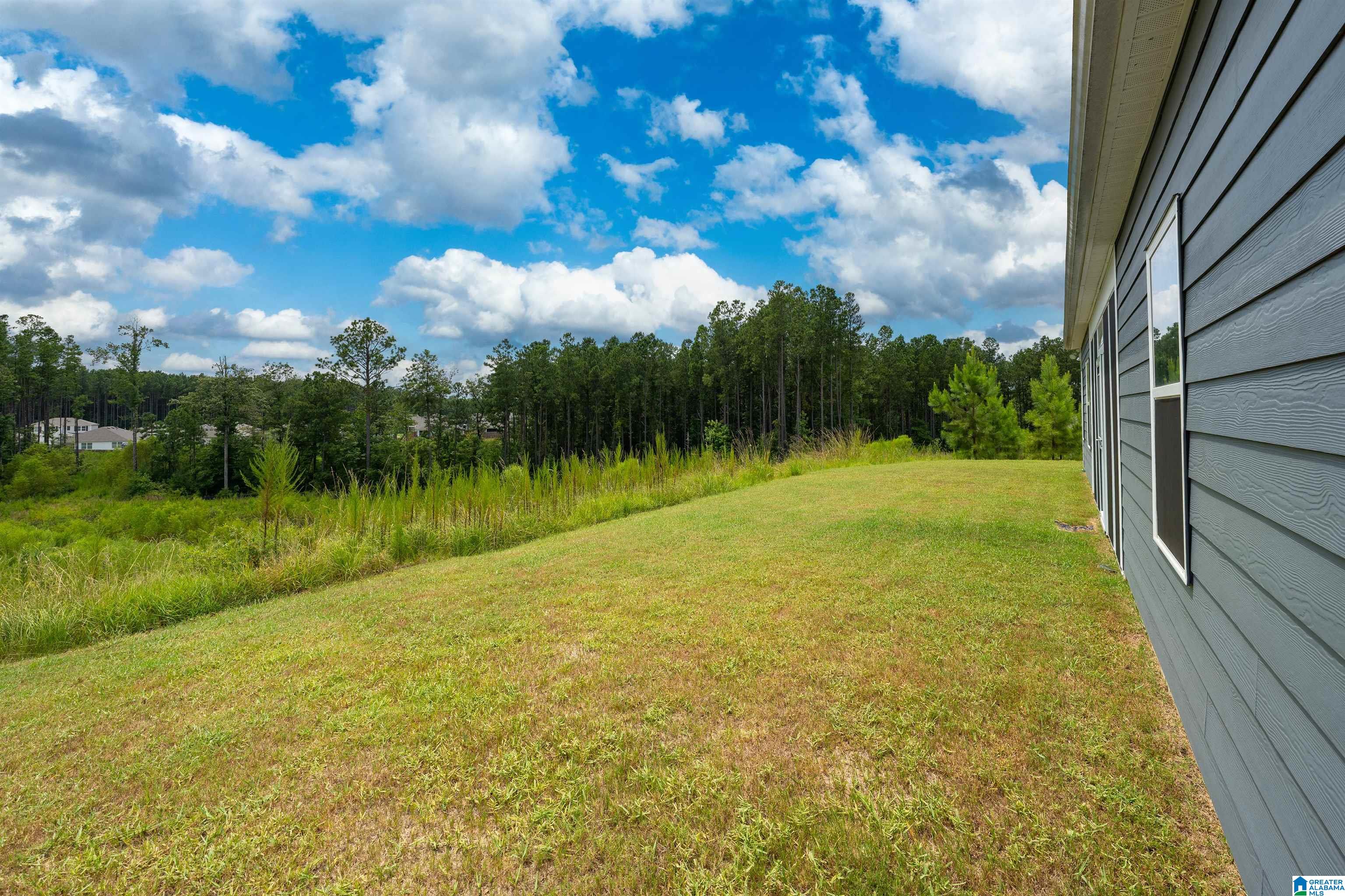 154 Halifax Lane Chelsea, AL 35043 - Photo 28 of 34