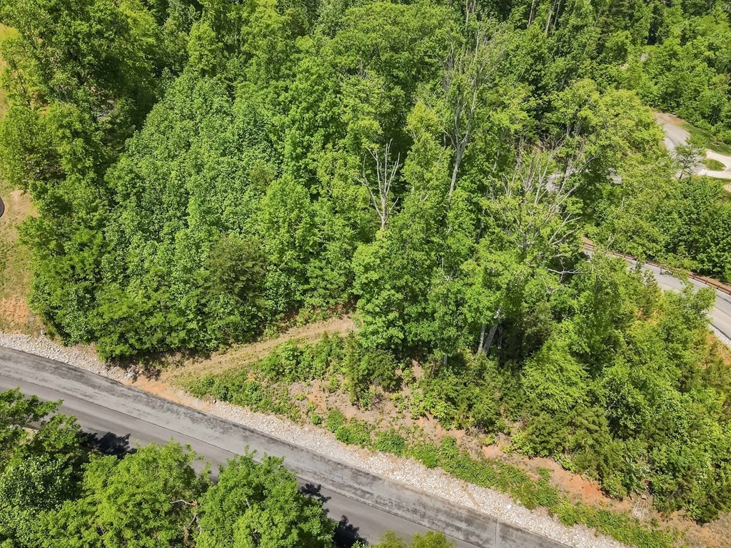 134 Summit Trails Drive Sevierville, TN 37862 - Photo 11 of 19