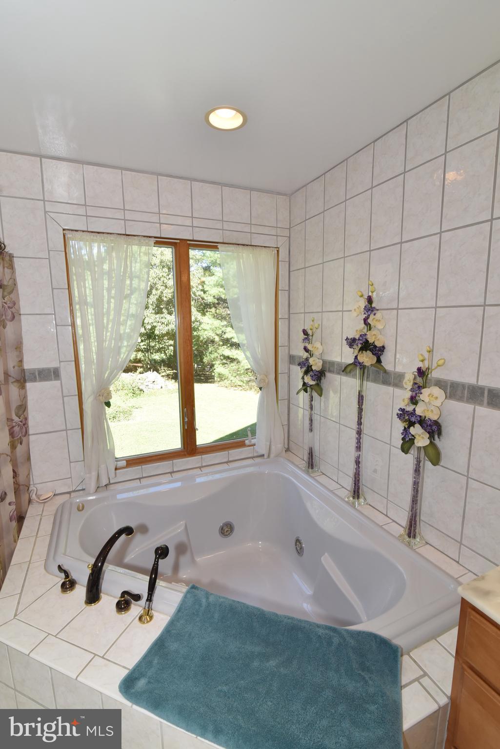 15971 Limestone School Road Leesburg, VA 20176 - Photo 48 of 75 Gallery Image 48