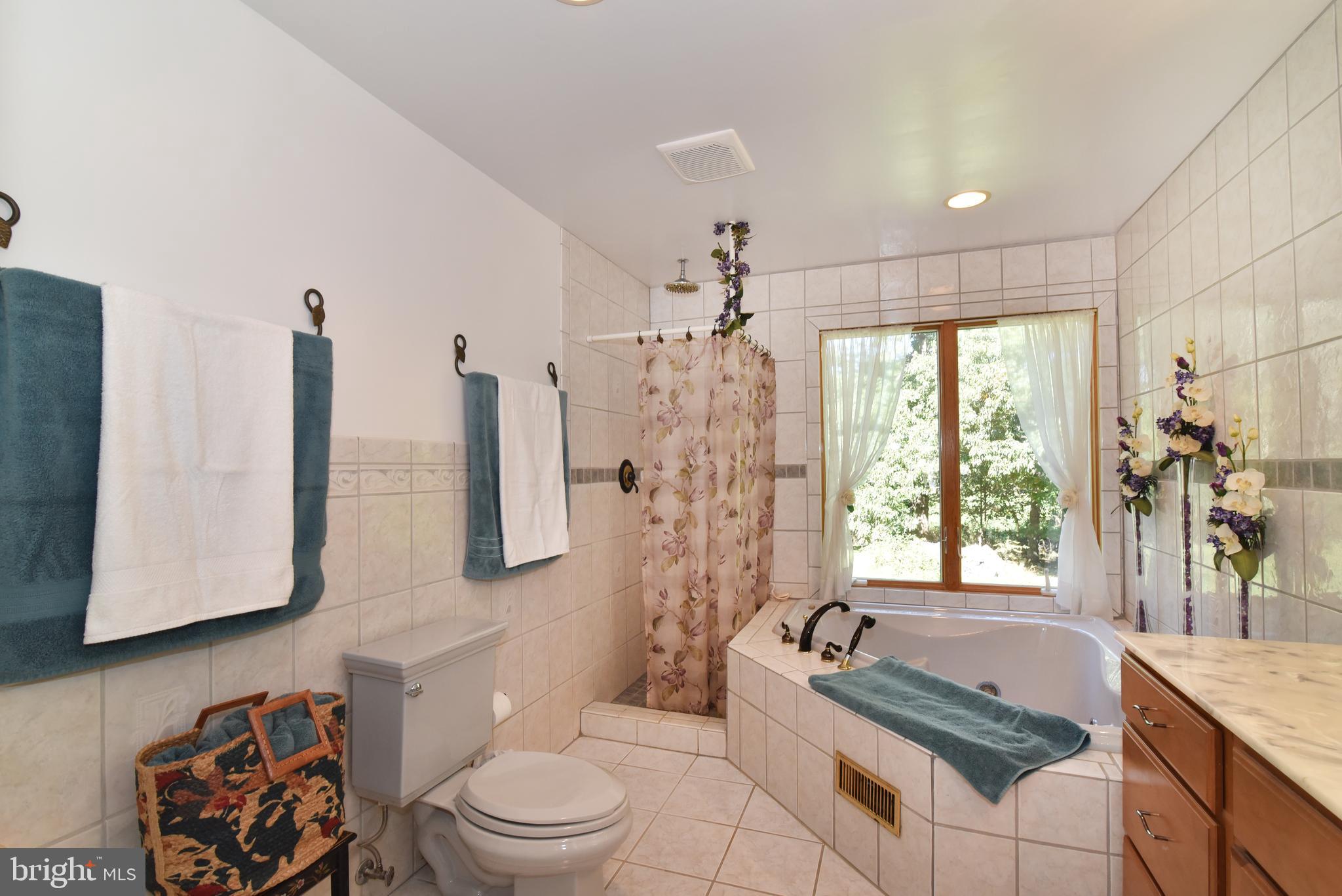 15971 Limestone School Road Leesburg, VA 20176 - Photo 50 of 75 Gallery Image 50